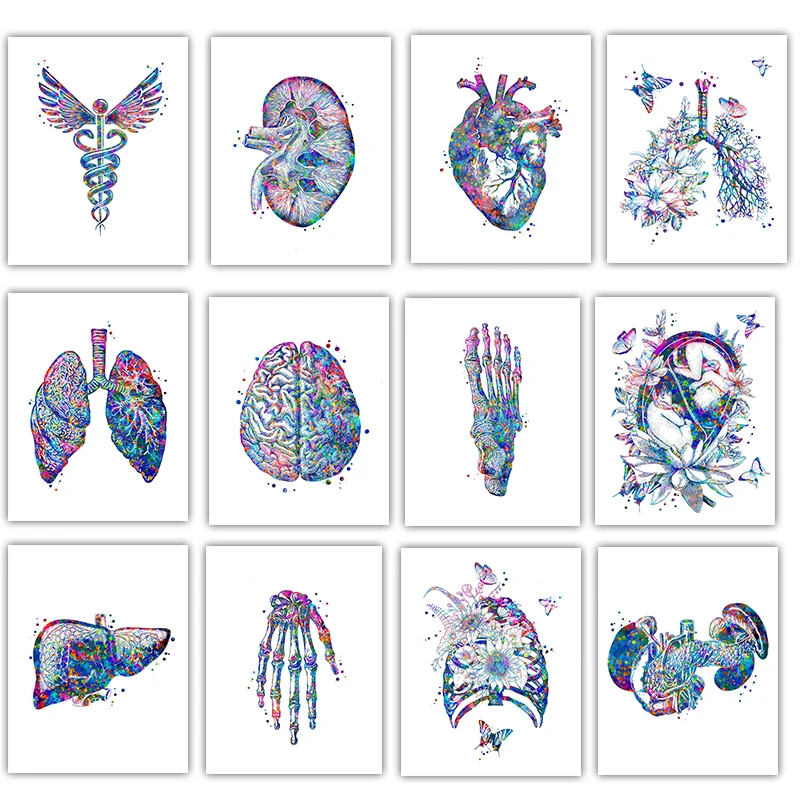 Anatomy Medical Poster Flower  - Medical Lab Posters avaliação e preço